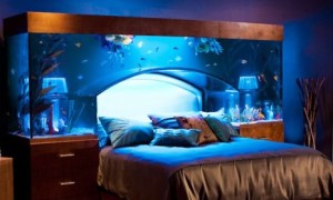 an-aquarium-bed-and-7-other-luxurious-resting-places-a-slideshow