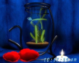 dream-aquarium-3d-screensaver-3