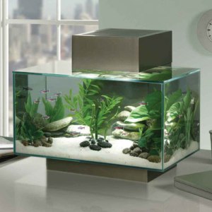 fluval-EDGE-aquarium2