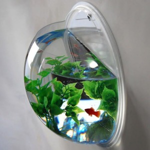 Wall-Mounted-Fish-Bowl-Aquarium